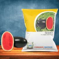 Hybrid Watermelon Seeds Rash 11 - Color: Fruit Rind Color Blackish Green