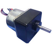 Synchronous Motor