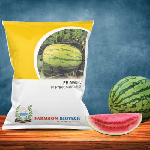 Watermelon Seeds - Madhu F1 Hybrid - Color: Light Green With Light Green Strip Ring Color