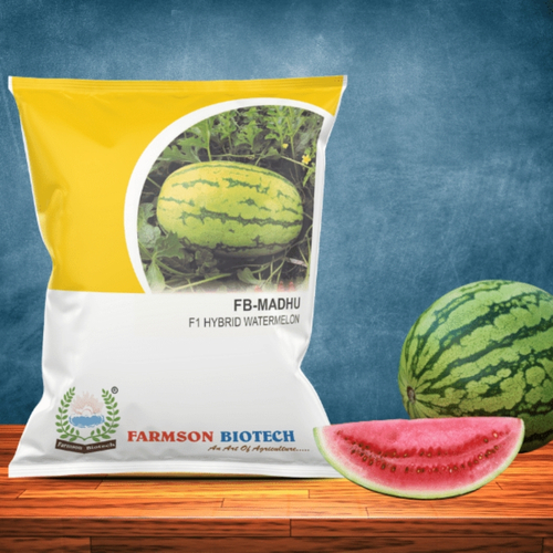 Watermelon Seeds Fb- Madhu F1 Hybrid - Color: Light Green With Light Green Strip Ring Color