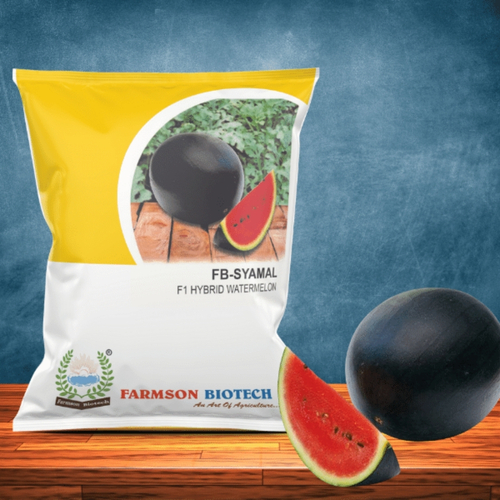 Watermelon Seeds Sugar King - Shyamal F1 Hybrid - Color: Dark Greenish Black With Deep Red Crispy Flesh