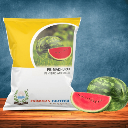 Watermelon Seed Sweet Green Hybrid -Madhurak F1 - Cultivation Type: Common