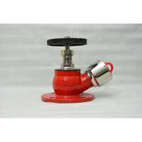 Stainless Steel Landing Valve