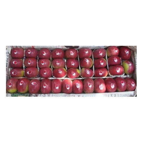 American Apple - Color: Red