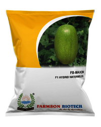 Hybrid watermelon seeds in fruit FB-Maxon F1