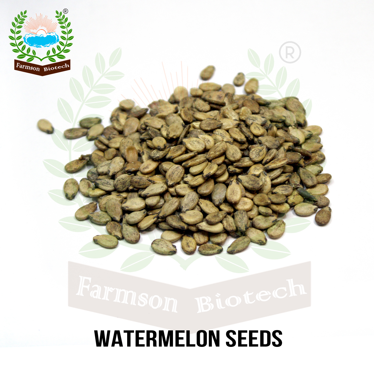 Hybrid watermelon seeds in fruit FB-Maxon F1