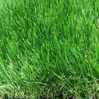 35mm Synthetic Grass