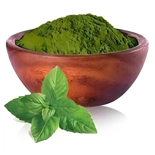 Dehydrated Mint Leaves Powder - Color: Green