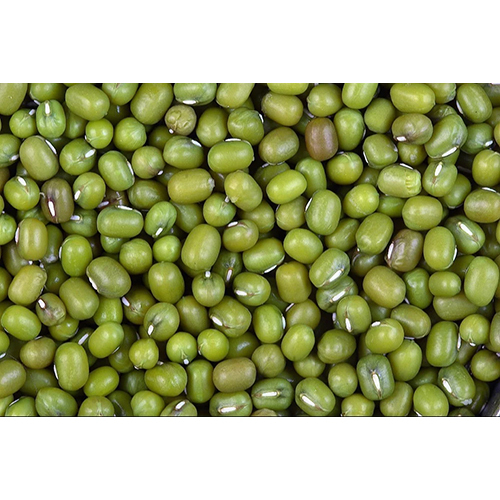 Whole Green Moong Dal - Whole Lentils, Organic Cultivation, Green Color, 12 Months Shelf Life | Versatile Ingredient for Healthy Cooking
