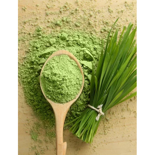 Dehydrated Green Wheat Grass Powder - Herbal Supplement for Immune Boosting, Detoxification, Digestive Health | Rich in Vitamins, Minerals, and Antioxidants, Shelf Life of 6 Months