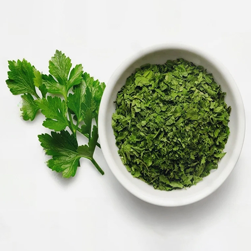Dehydrated Coriander Leaves