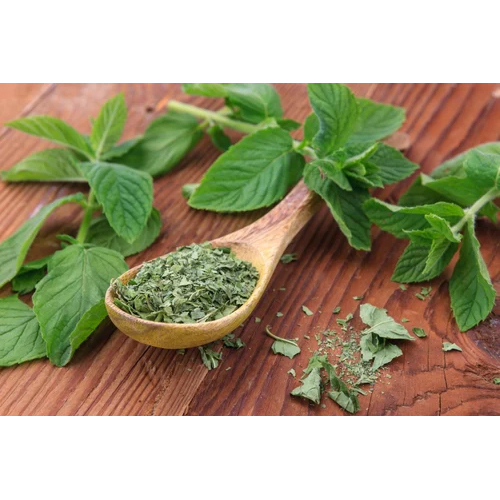 Dehydrated Mint Leaves - Handpicked, Dried Leaf Form | Versatile Use for Cooking, Seasoning, and Herbal Tea