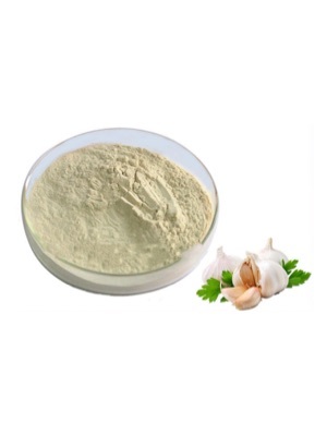 Garlic powder