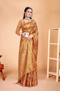 Parvati Multicolor Rapier Silk Saree -25918.