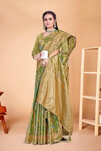 Parvati Multicolor Rapier Silk Saree -25918.