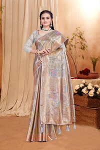 Parvati Multicolor Rapier Silk Saree -25920