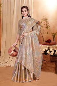 Parvati Multicolor Rapier Silk Saree -25920