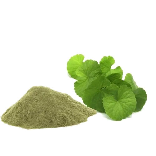 Centella Asiatica Dry Extract - Color: Natural