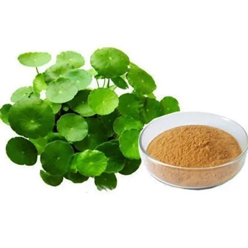 Brahmi Dry Extract
