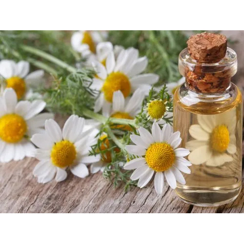 Chamomile oil