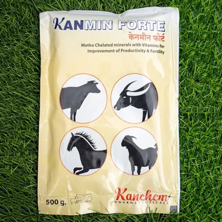 500g Kanmin Forte Feed Supplement
