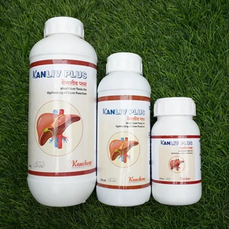 Kanliv Plus Liver Tonic