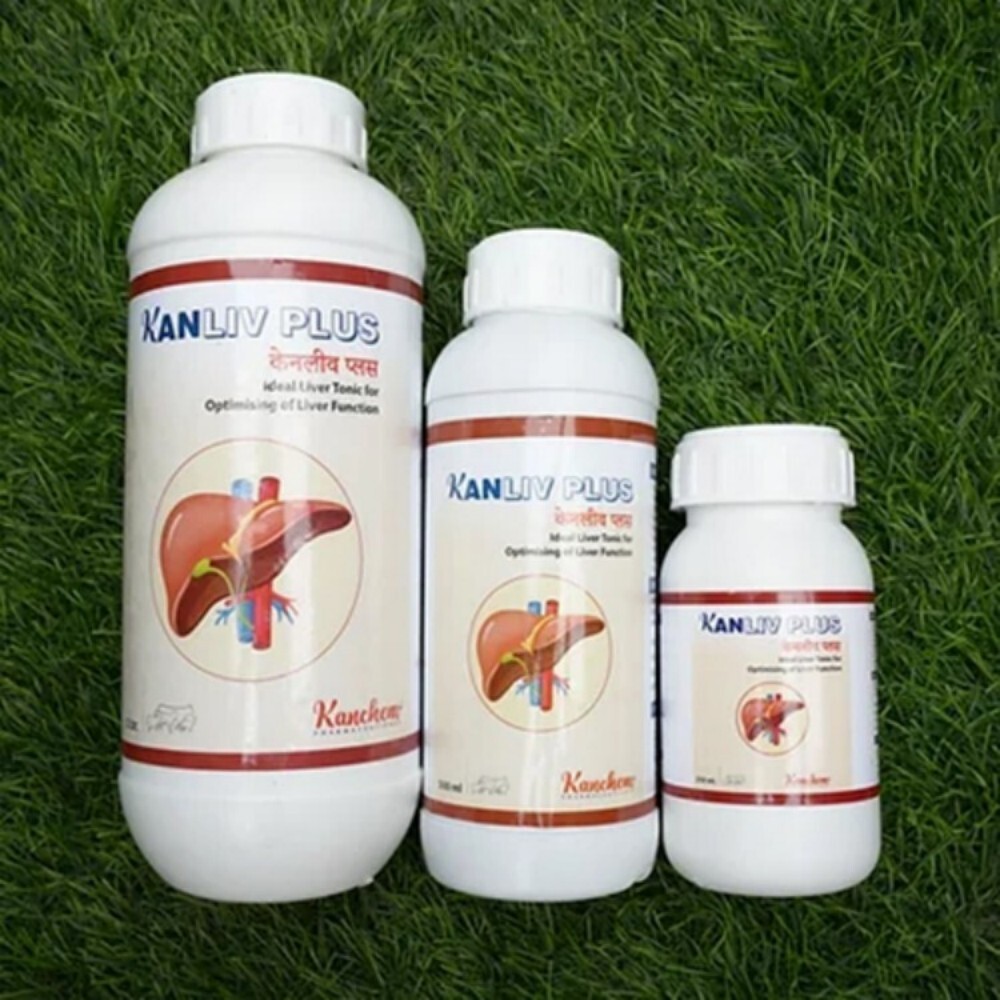 Kanliv Plus Liver Tonic - Premium Quality Cattle Healthcare Supplement | Delicate Smell Nutrient-Rich Feed Preservatives Liver Function Support