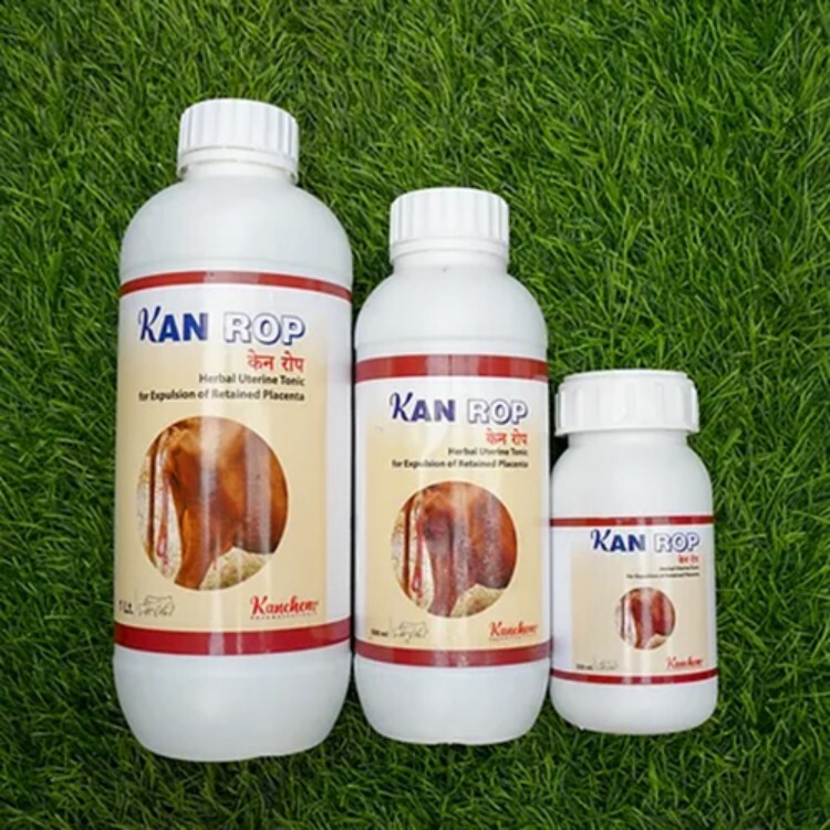 Veterinary Feed Supplements