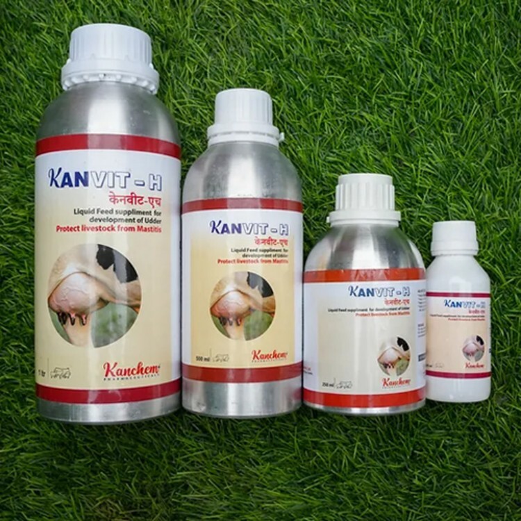 Kanvit-H Feed Supplement