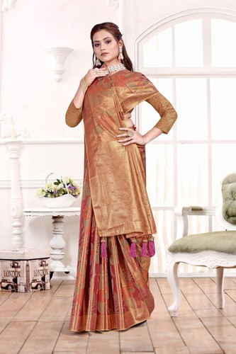 Parvati Multicolor Rapier Silk Saree -25926