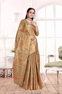 Parvati Multicolor Rapier Silk Saree -25926