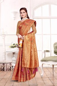 Parvati Multicolor Rapier Silk Saree -25926