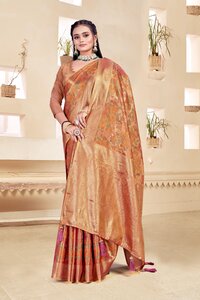 Parvati Multicolor Rapier Silk Saree -25928