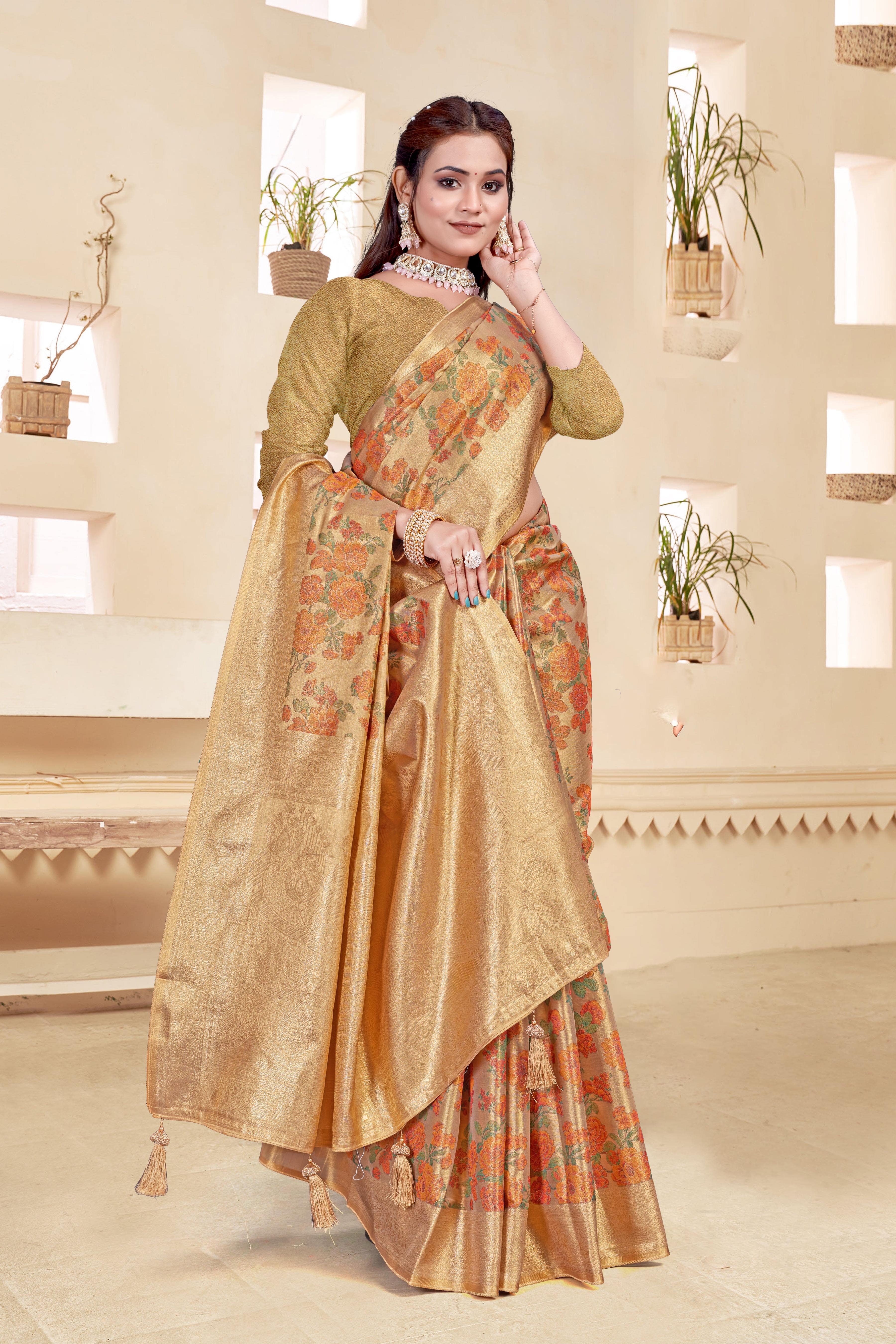 Parvati Multicolor Rapier Silk Saree -25928