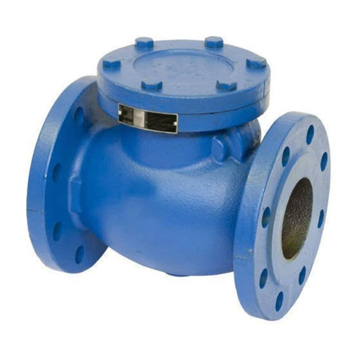 Cast Iron Check Valve - Color: Blue