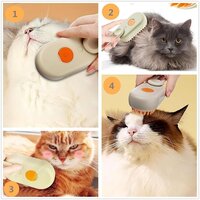 3 in 1 Cat Steam Brush