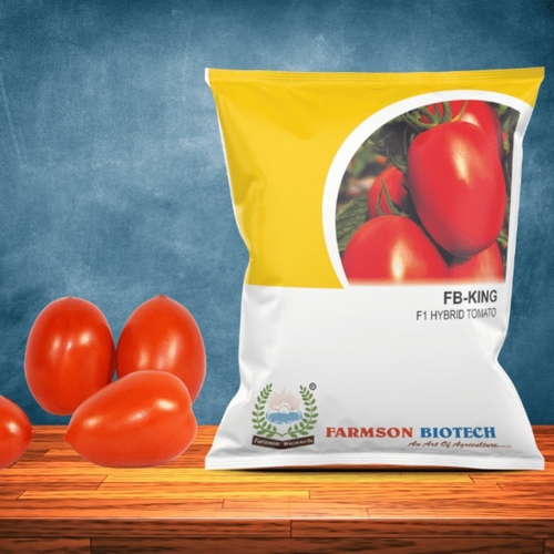Master King Tomato Seeds -King Hybrid F1 - Cultivation Type: Common