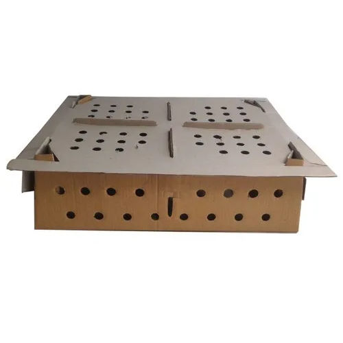 Chicken Transport Box - Shape: Rectangular