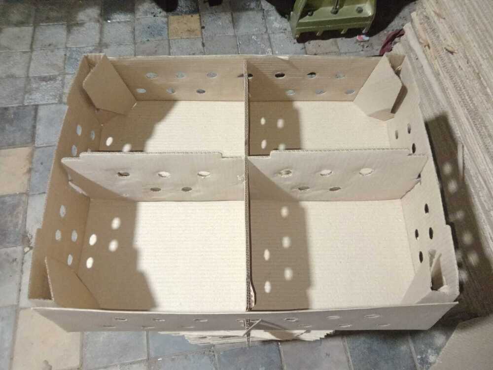 Corrugated Chick Boxes - Printing Type: Special Effects Printing