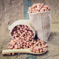 Good Quality Peanuts Kernels - Capacity: 50000 Tons/year