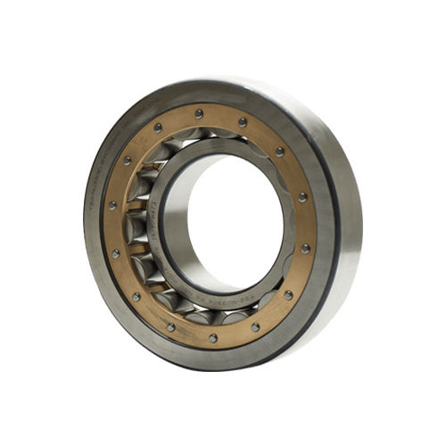 Brass Cylindrical Roller Bearings - Material: Stainless Steel