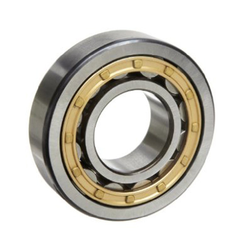 Cylindrical Roller Bearing - Material: Stainless Steel