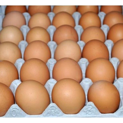 Kadaknath Chicken Egg - Shelf Life: 1-2 Months