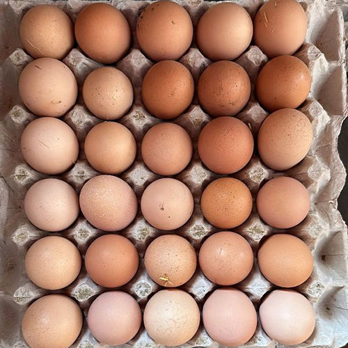 Poultry Desi Eggs - Egg Origin: Chicken