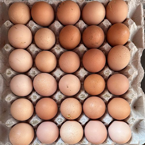 Poultry Desi Eggs - Egg Origin: Chicken