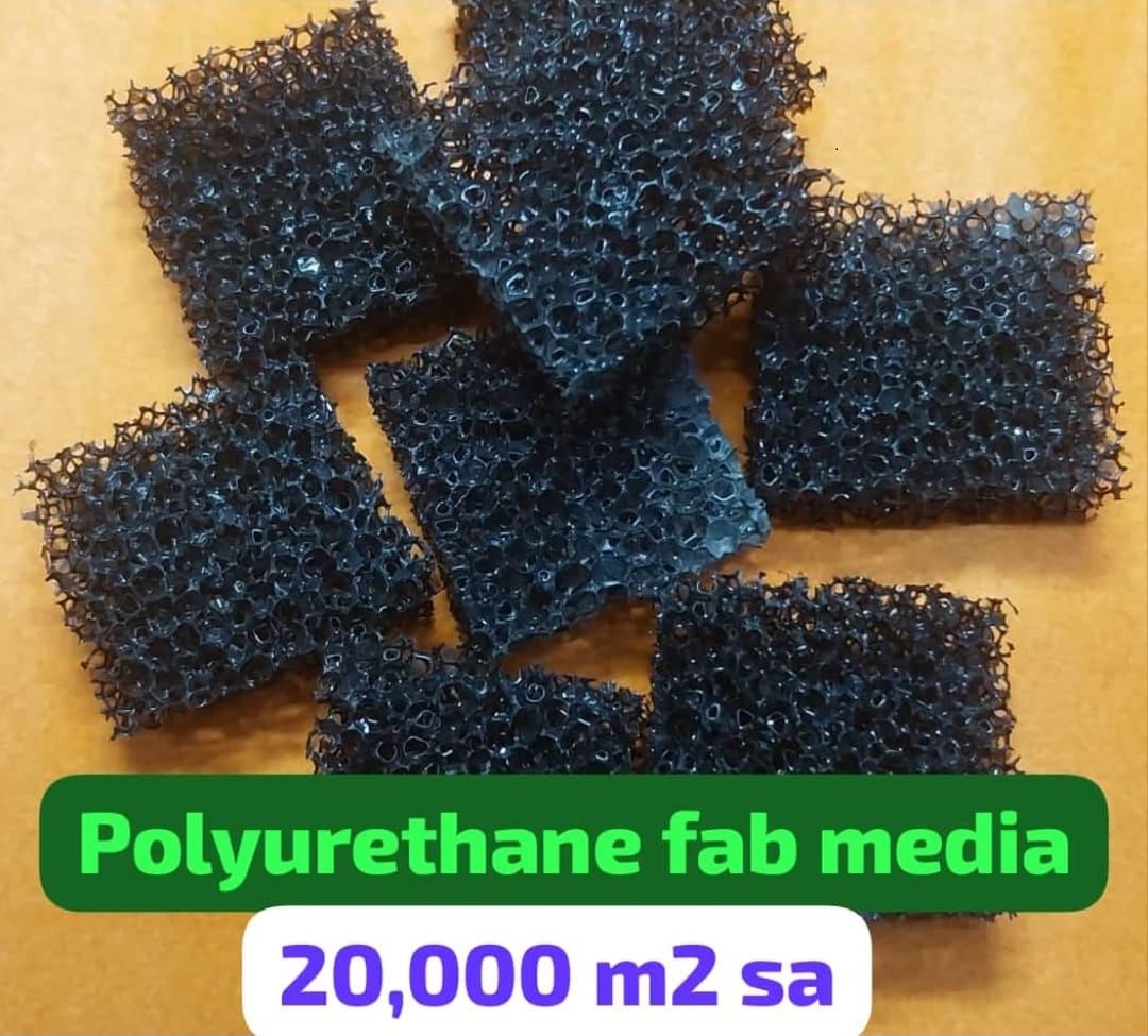 Pu Foam Media