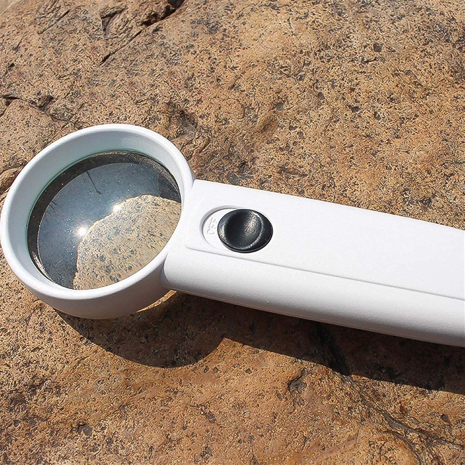 Hand-held Magnifier With Dual Led Lightss