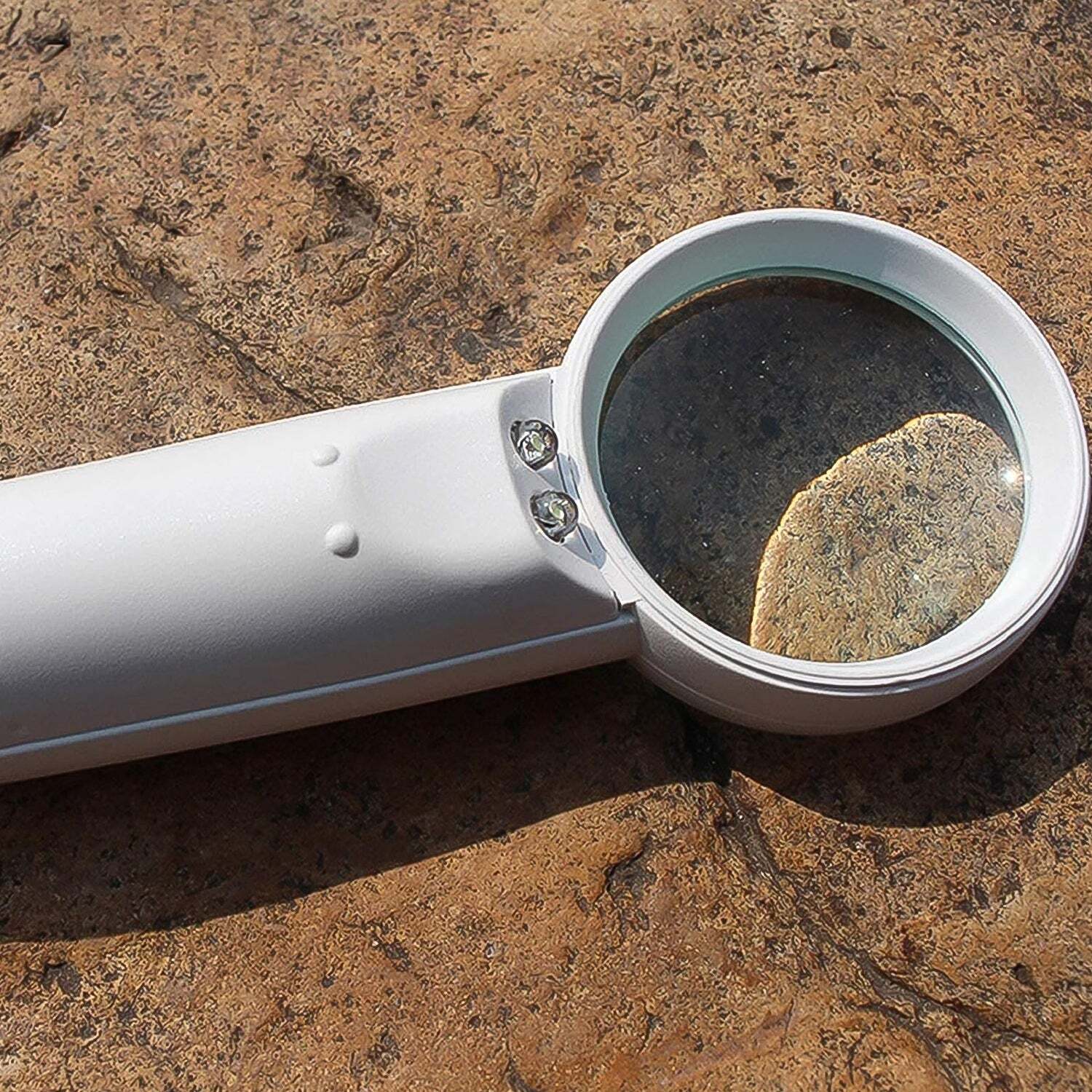 Hand-held Magnifier With Dual Led Lightss