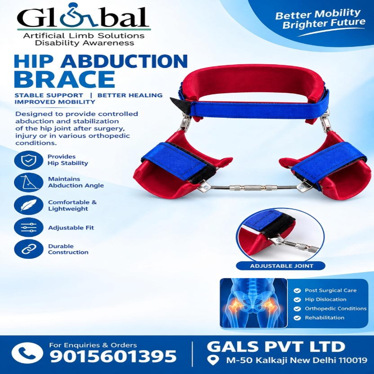 Hip Extension Abduction Brace