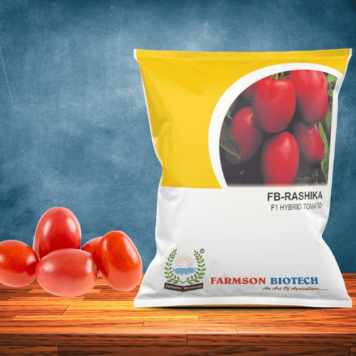 Hybrid Vegetable Tomato Seeds Fb-Rasika F1 - Color: Attractive Deep Red And Glossy